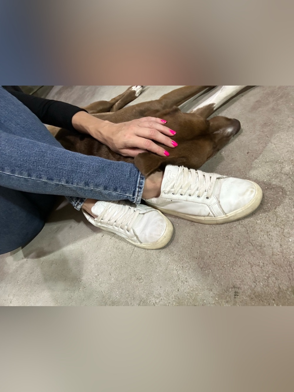 Sam Edelman women's 8.5 sneakers